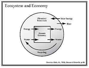 ecosytem and economy