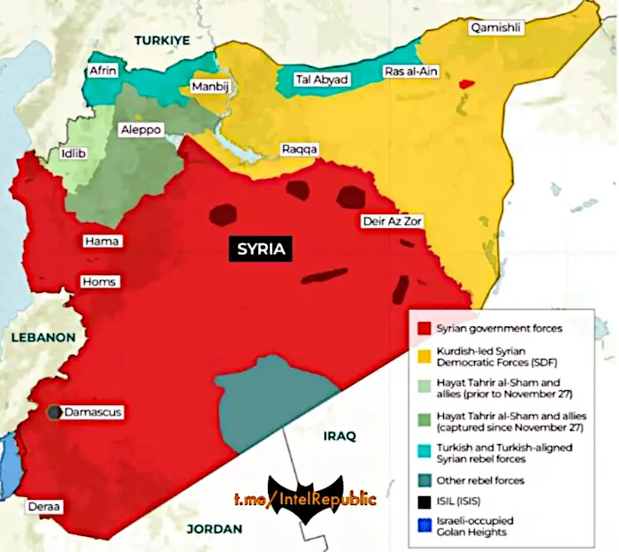 6230748312764531270 120 002.jpg