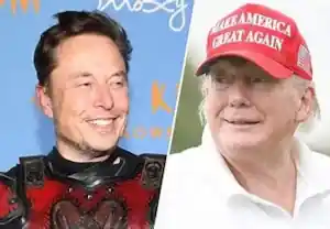 Trump Musk