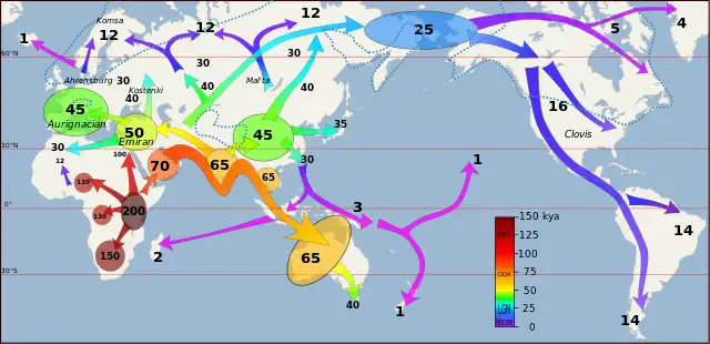 simi globalizzazione
