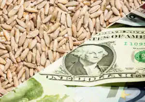 01 ECONOMIE immagine.jpg