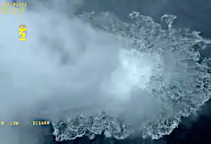 04729135 33de 4bb1 8fd5 17e9b7f0c8fe 3114x1742 scaled.jpg