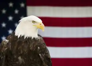 178803202 281035300168595 6275021392133130621 n.jpg