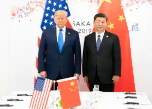 48162296741 1ca42cb727 o.jpg