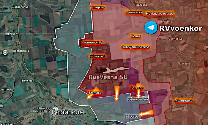 4983656227107703647 121 002.jpg