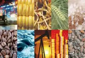 Materie prime immagine.jpeg