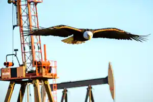 Venezuela 2 2 esteso.jpg