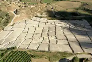 burri alberto tormento della materia 1.png